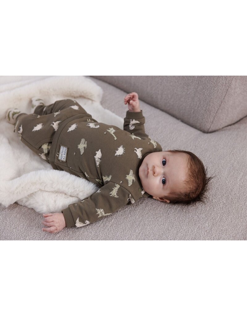 Feetje Baby Feetje Jongen - Sweater AOP - Rawrsome - Olijf - 51602614