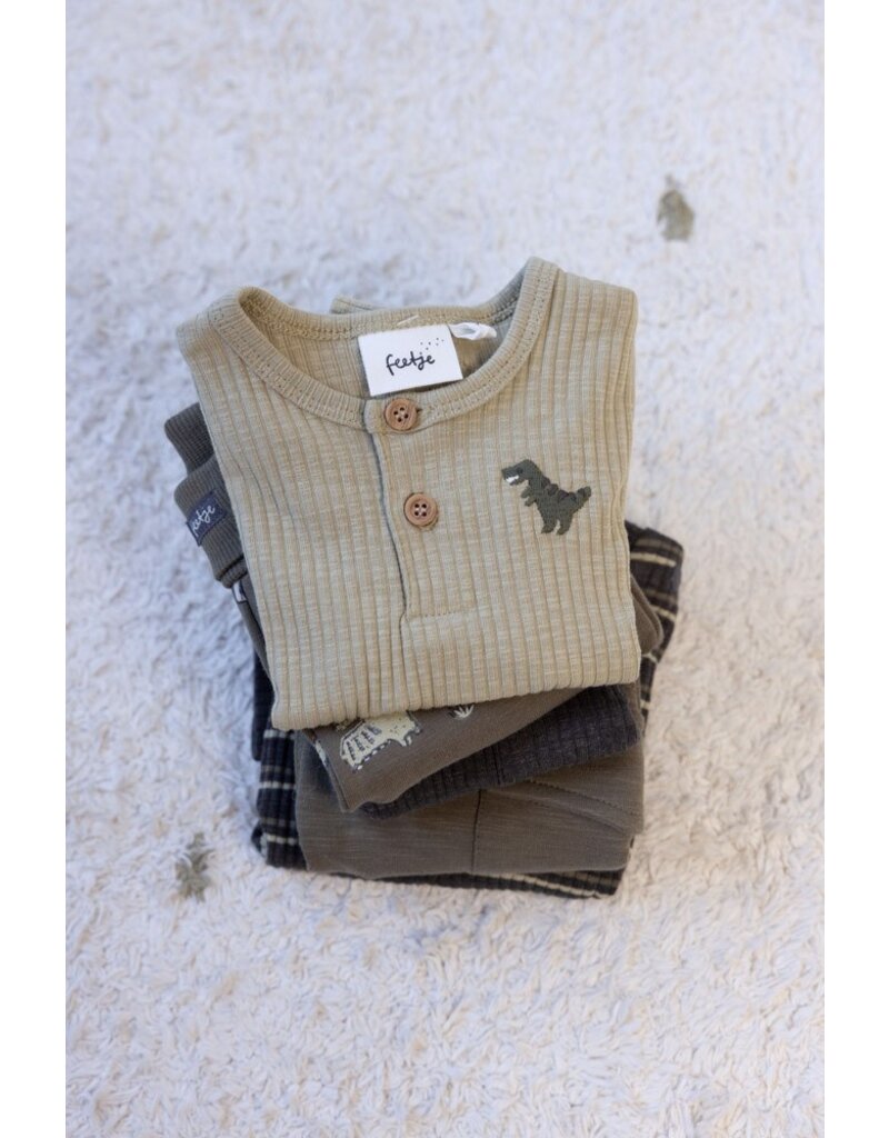 Feetje Baby Feetje Jongen - Shirt rib - Rawrsome - Groen - 51602615
