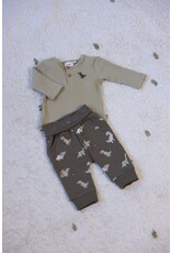 Feetje Baby Feetje Jongen - Shirt rib - Rawrsome - Groen - 51602615