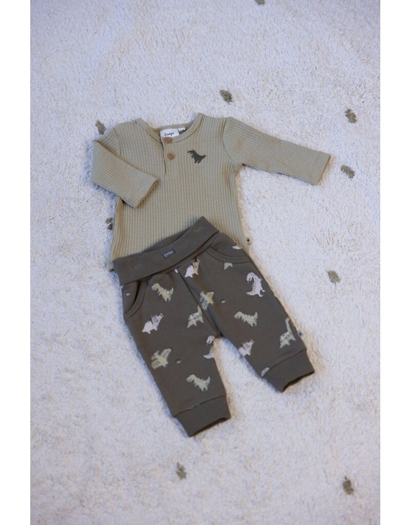 Feetje Baby Feetje Jongen - Shirt rib - Rawrsome - Groen - 51602615