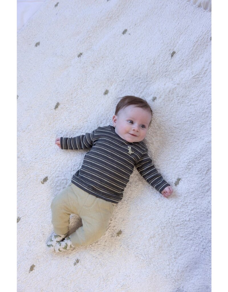 Feetje Baby Feetje Jongen - Shirt rib gestreept - Rawrsome - antraciet - 51602620