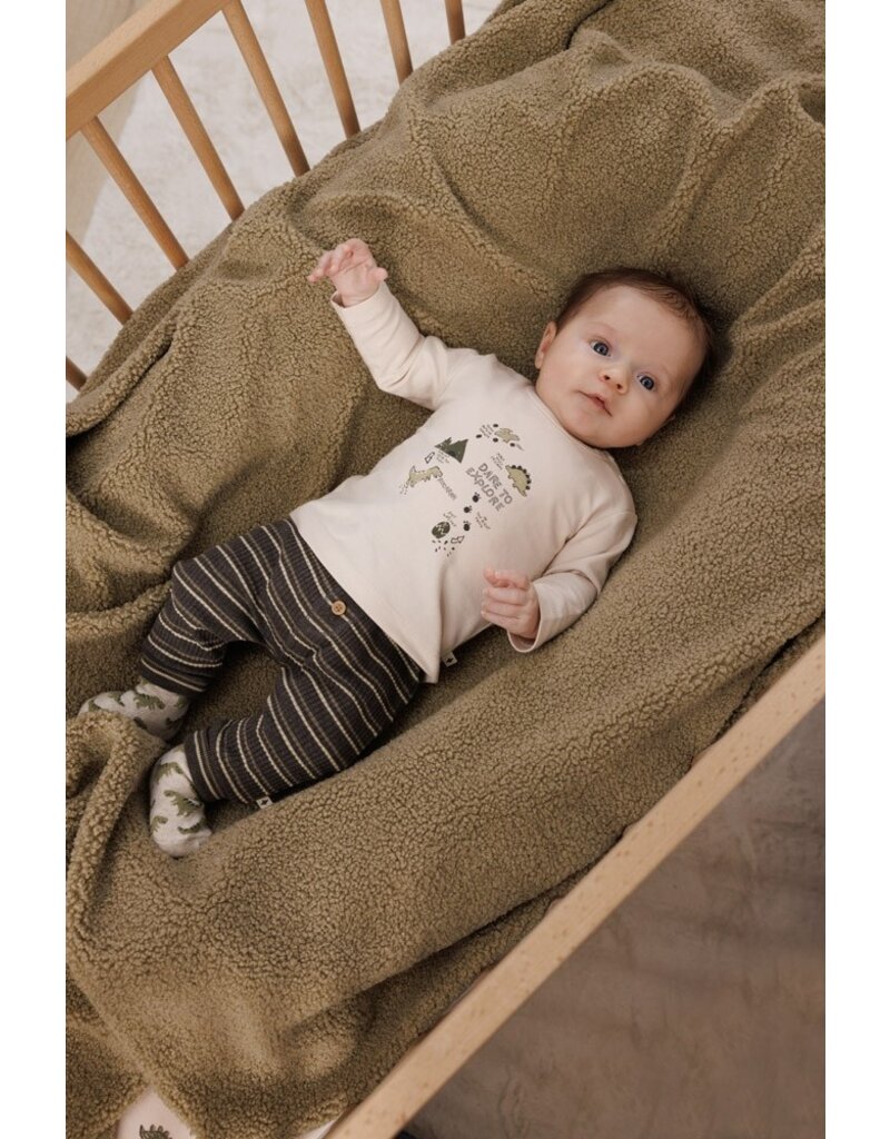 Feetje Baby Feetje Jongen - Broek rib gestreept - Rawrsome - antraciet - 52202409