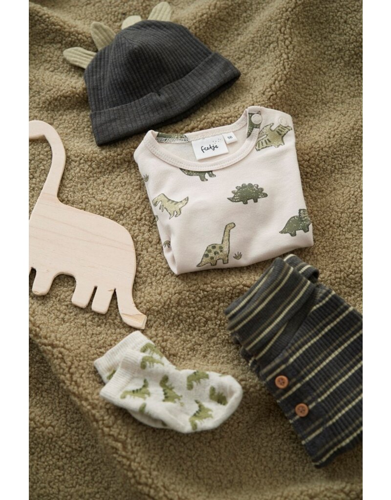 Feetje Baby Feetje Jongen - Broek rib gestreept - Rawrsome - antraciet - 52202409