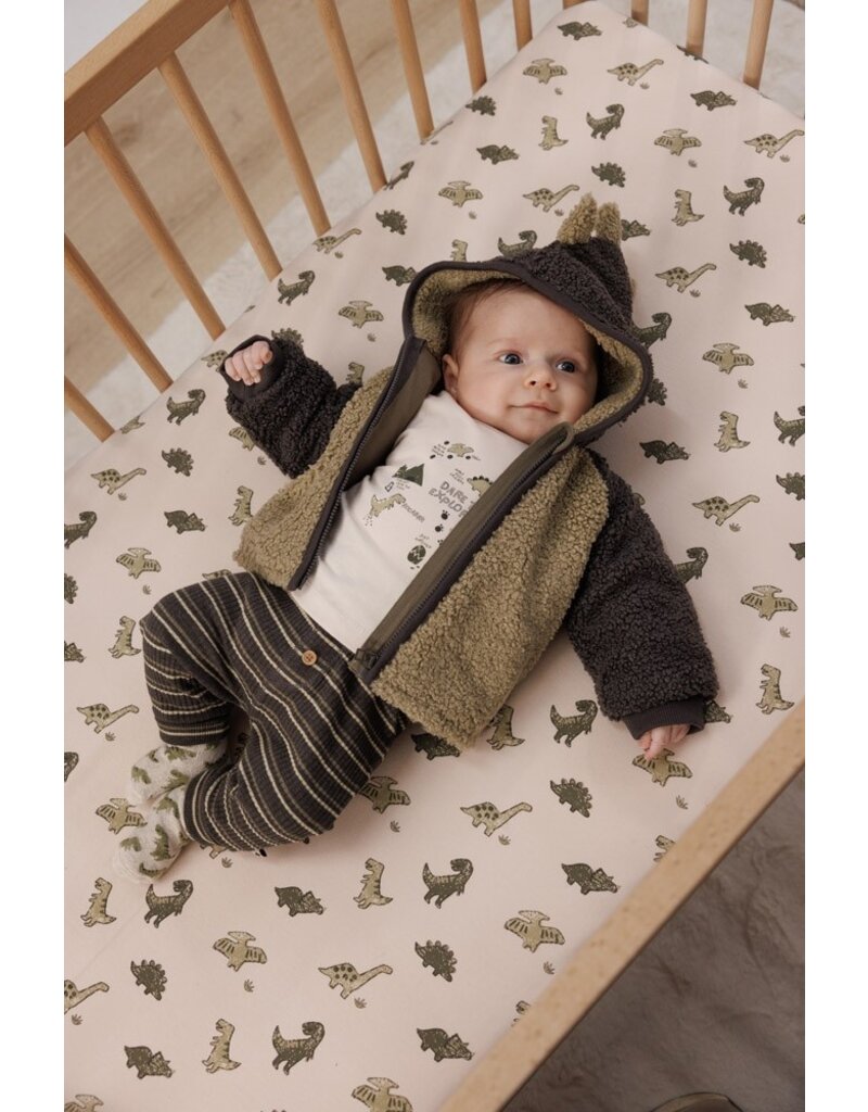 Feetje Baby Feetje Jongen - Broek rib gestreept - Rawrsome - antraciet - 52202409