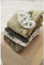 Feetje Baby Feetje Jongen - Broek - Rawrsome - Groen - 52202411