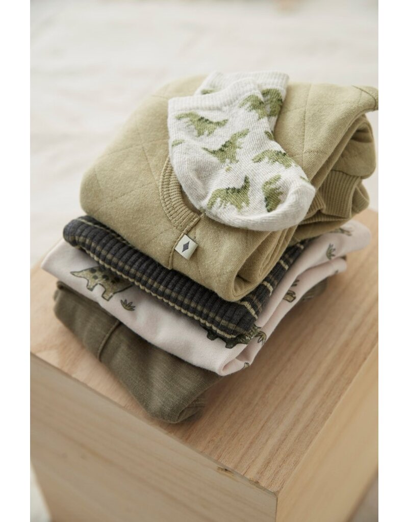 Feetje Baby Feetje Jongen - Broek - Rawrsome - Olijf - 52202413