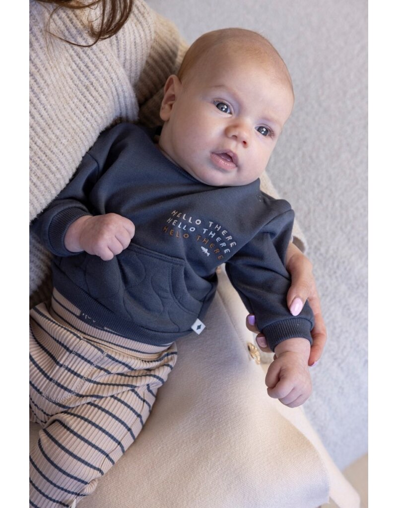 Feetje Baby Feetje Jongen - Sweater front print - Narwal - Blauwgrijs - 51602589