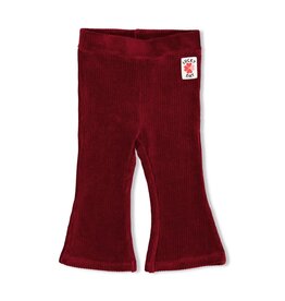 Feetje Baby Feetje Meisje - Flare broek velours - Queen of Hearts - bordeaux