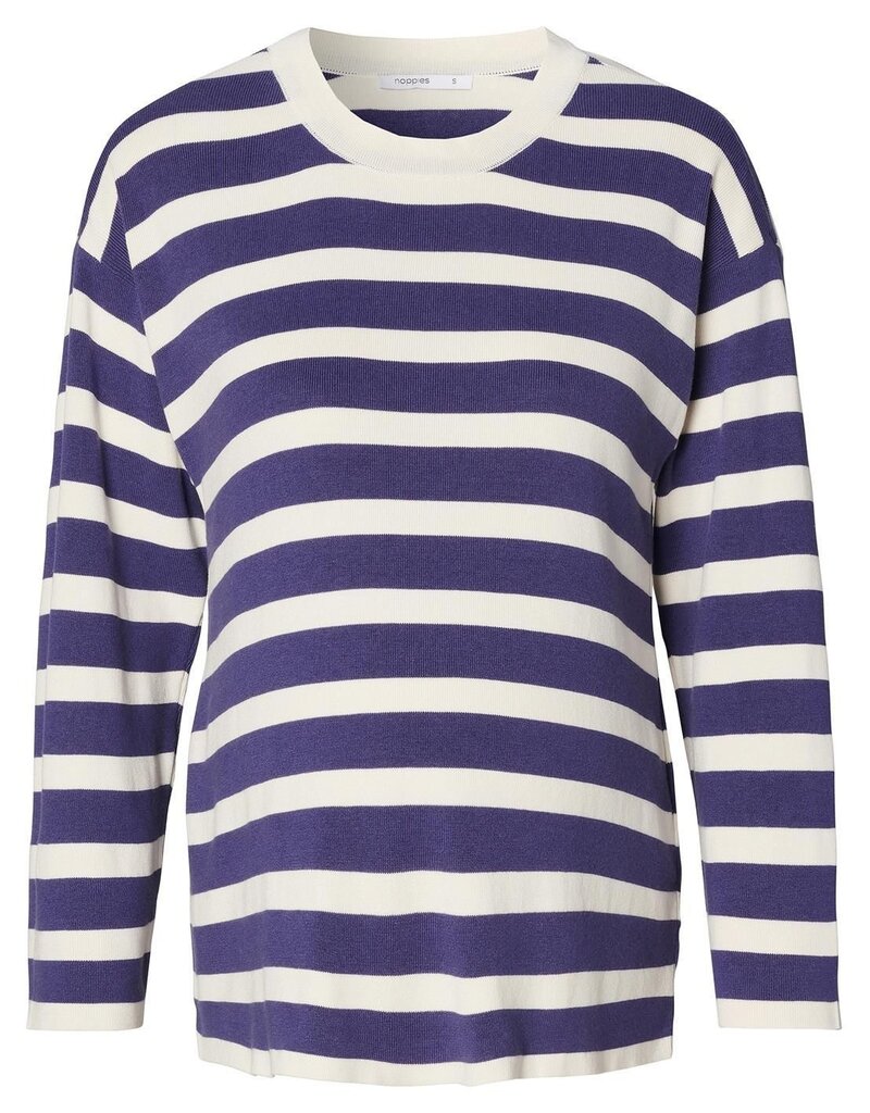 Noppies Noppies Sweater Arendal  - gestreept blue -  5070212 N410