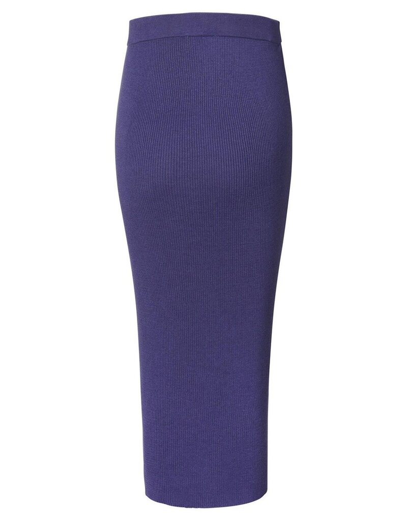 Noppies Noppies Skirt Floro- knit - skipper blue - 5071312 N261