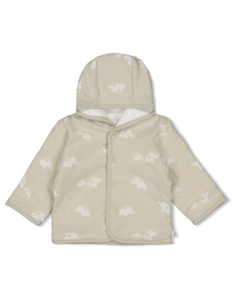Feetje Baby Feetje omkeerbaar jasje met capuchon - Elephant - Mint  - 51800361
