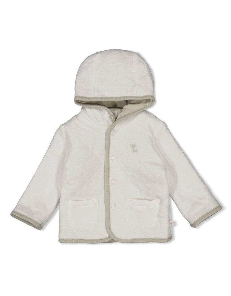 Feetje Baby Feetje omkeerbaar jasje met capuchon - Elephant - Mint  - 51800361