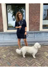 Swan and the People - Dress - AOP Leopard - Blue