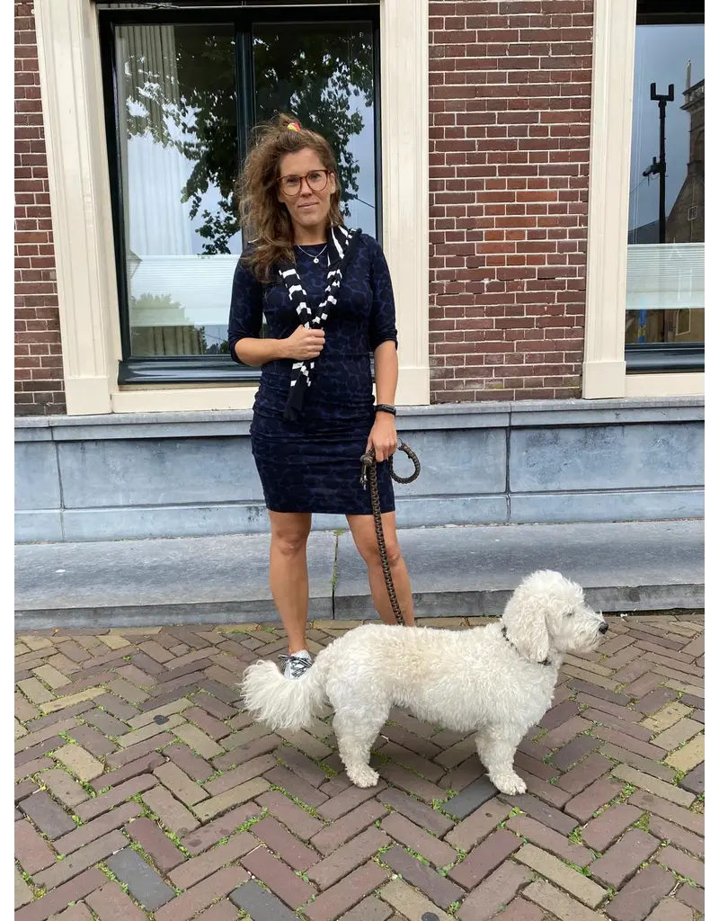 Swan and the People - Dress - AOP Leopard - Blue