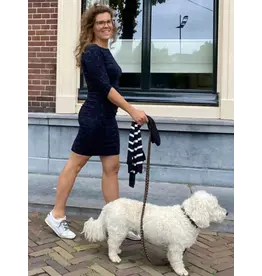 Swan and the People -  Dress - AOP Leopard - Blue