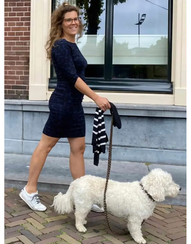 Swan and the People Swan and the People - Dress - AOP Leopard - Blue