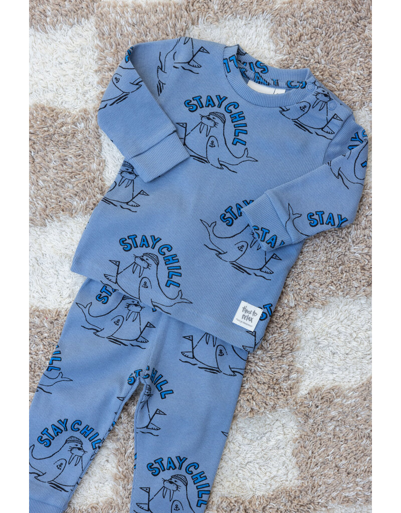 Feetje Baby Feetje premium sleepwear rib pyjama - Willy Walrus