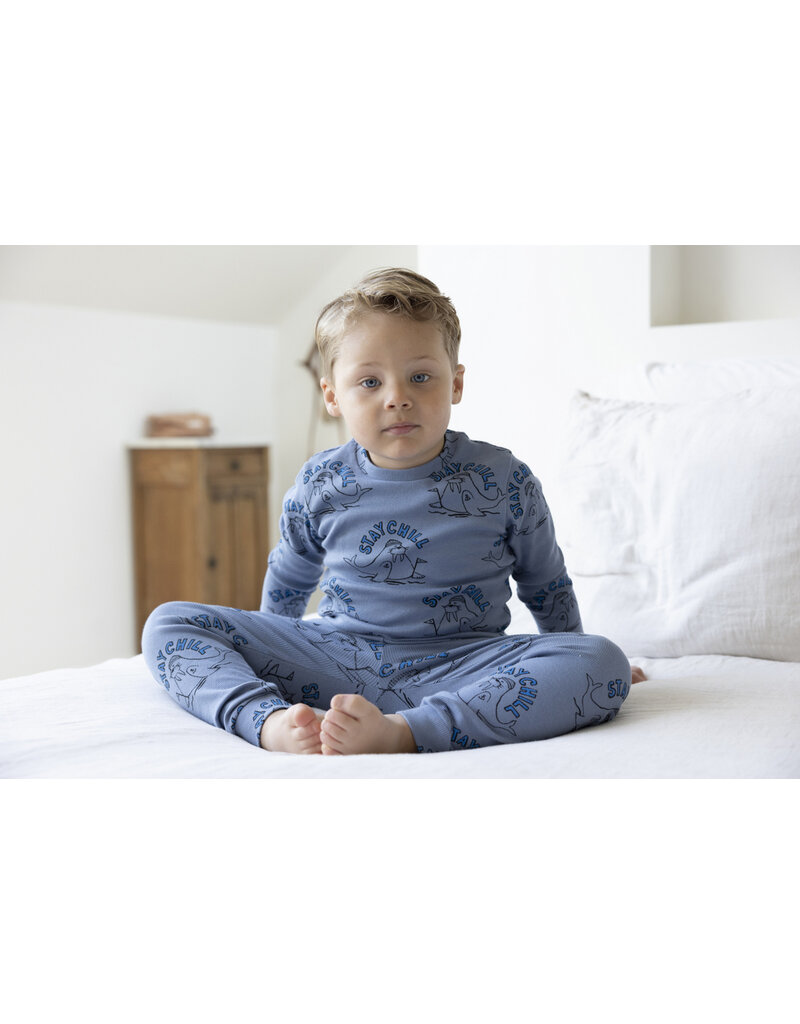 Feetje Baby Feetje premium sleepwear rib pyjama - Willy Walrus