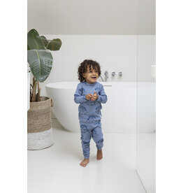 Feetje Baby Feetje premium sleepwear rib pyjama - Willy Walrus