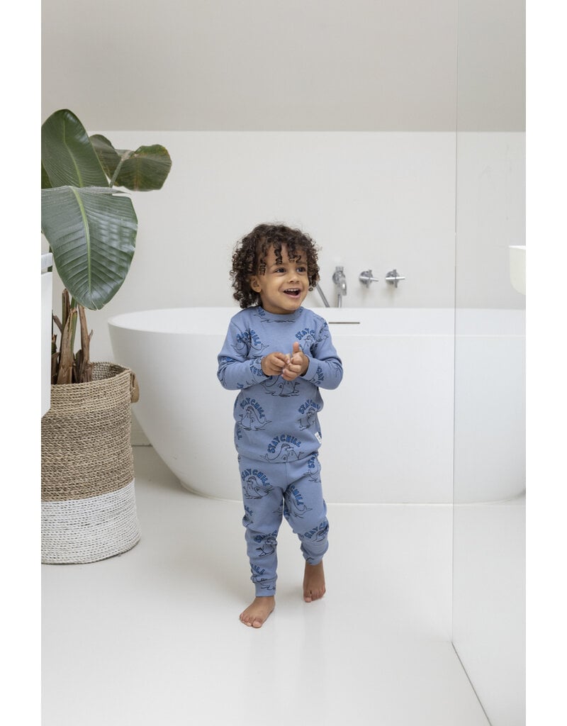Feetje Baby Feetje premium sleepwear rib pyjama - Willy Walrus