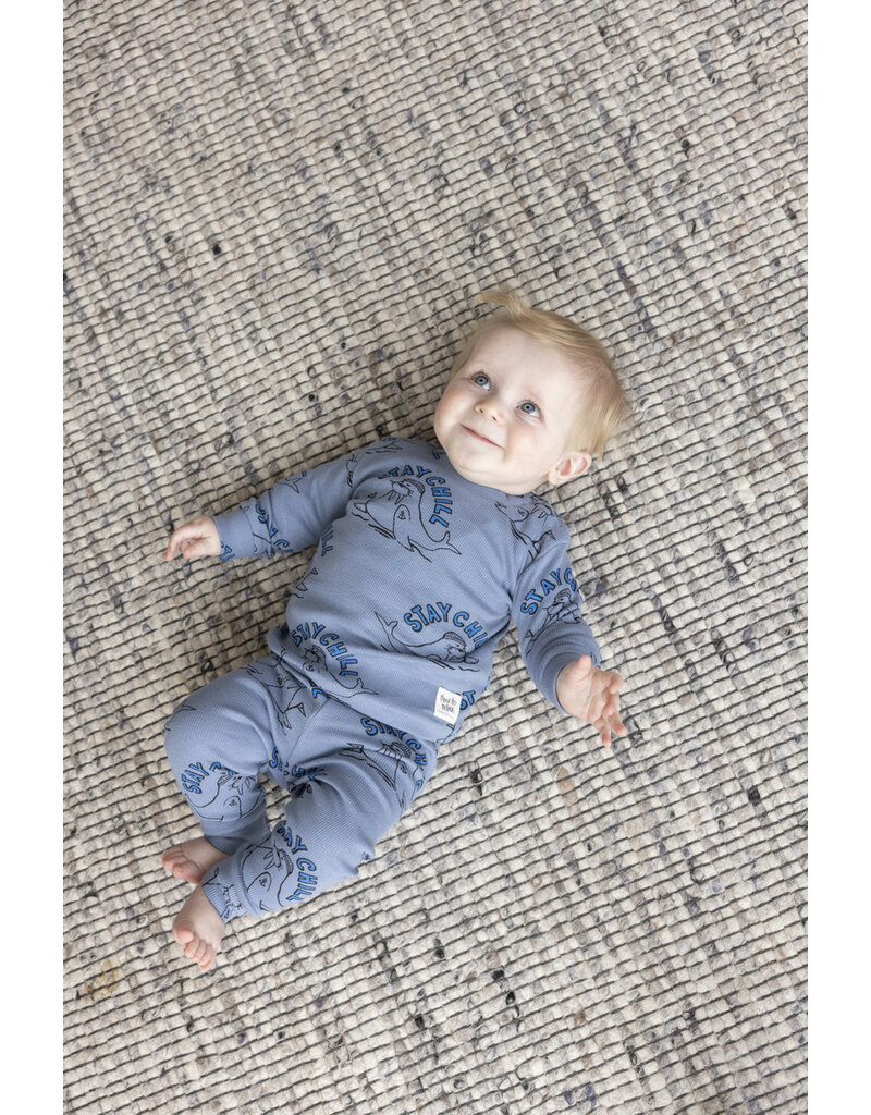 Feetje Baby Feetje premium sleepwear rib pyjama - Willy Walrus