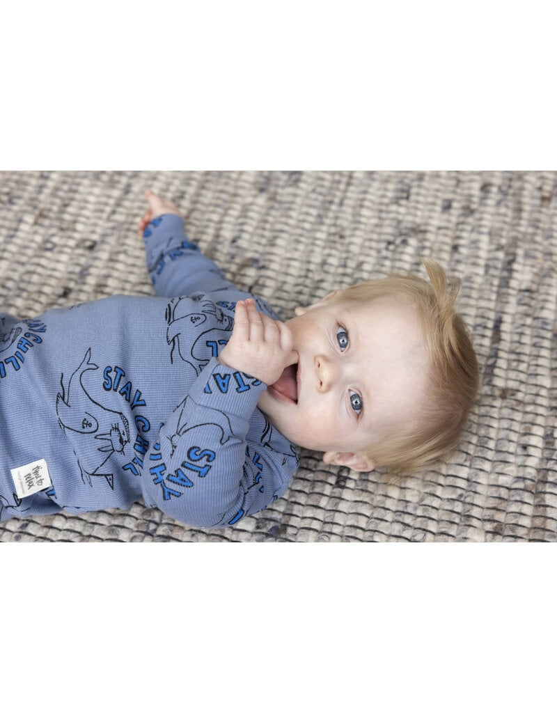 Feetje Baby Feetje premium sleepwear rib pyjama - Willy Walrus