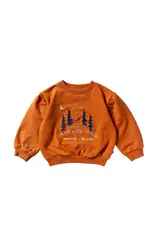Your Wishes Baby & Peuter kleding Your Wishes Into The Wild | Sweater | Bombay Brown