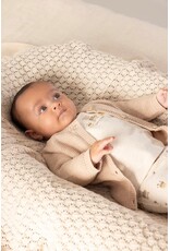 Feetje Baby Feetje broek AOP - Honey Bear  - Offwhite  - 52202463