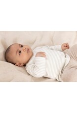 Feetje Baby Feetje longsleeve rib gestreept - Elephant - mint - 51602696