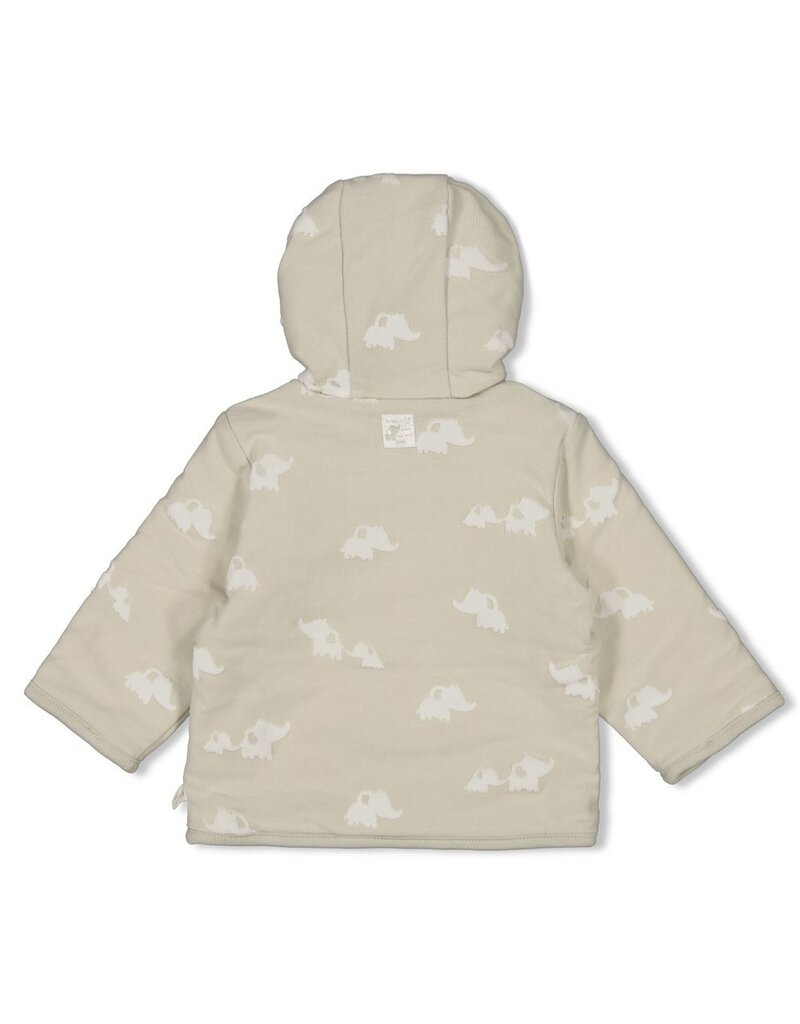 Feetje Baby Feetje omkeerbaar jasje met capuchon - Elephant - Mint  - 51800361