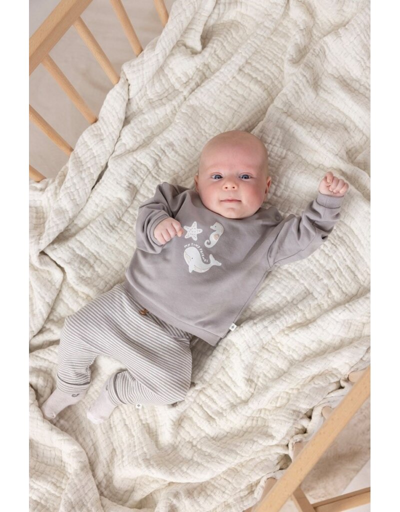 Feetje Baby Feetje broek rib gestreept - Sea Sweeties - Grijs - 52202468