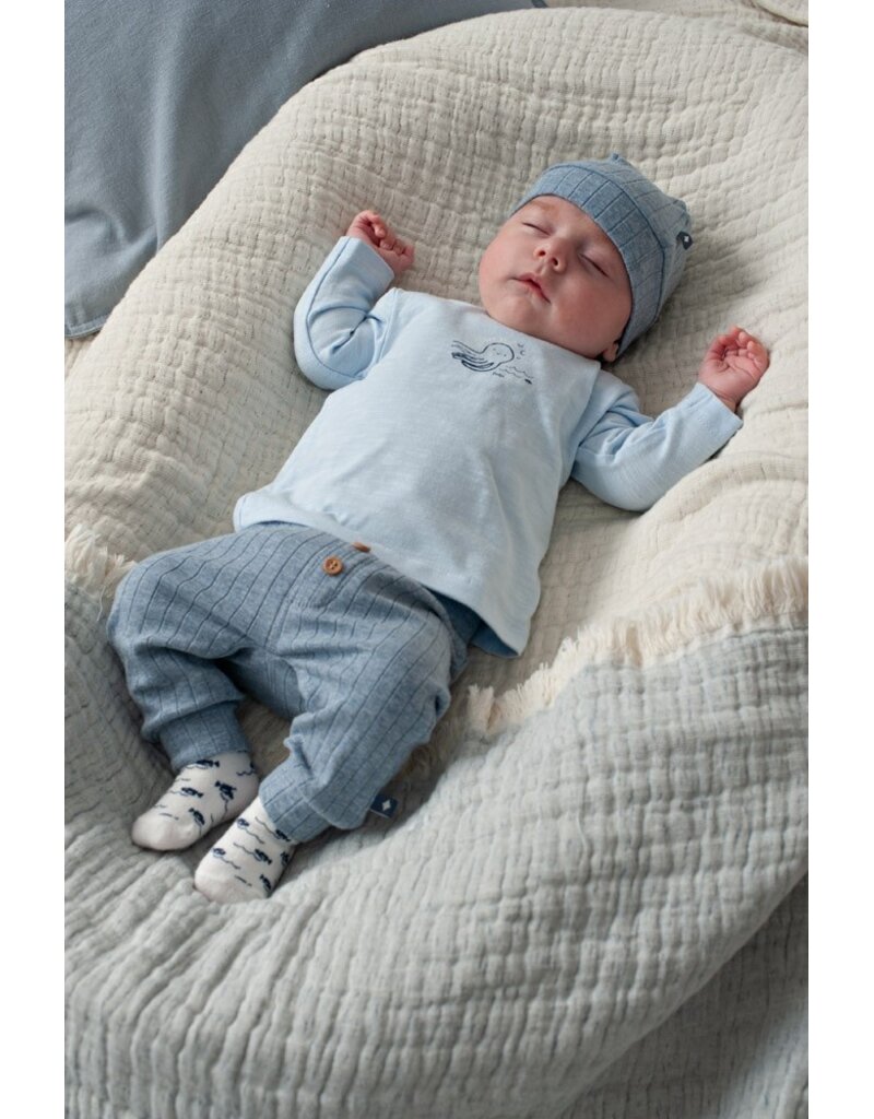Feetje Baby Feetje Jongen Shirt ls - Blue Ocean - Blauw - 51602719