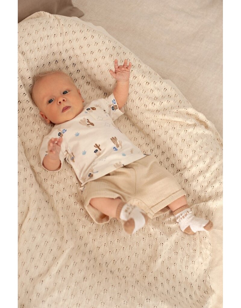 Feetje Baby Feetje jongen Short - Sssiesta - Zand - 52100463