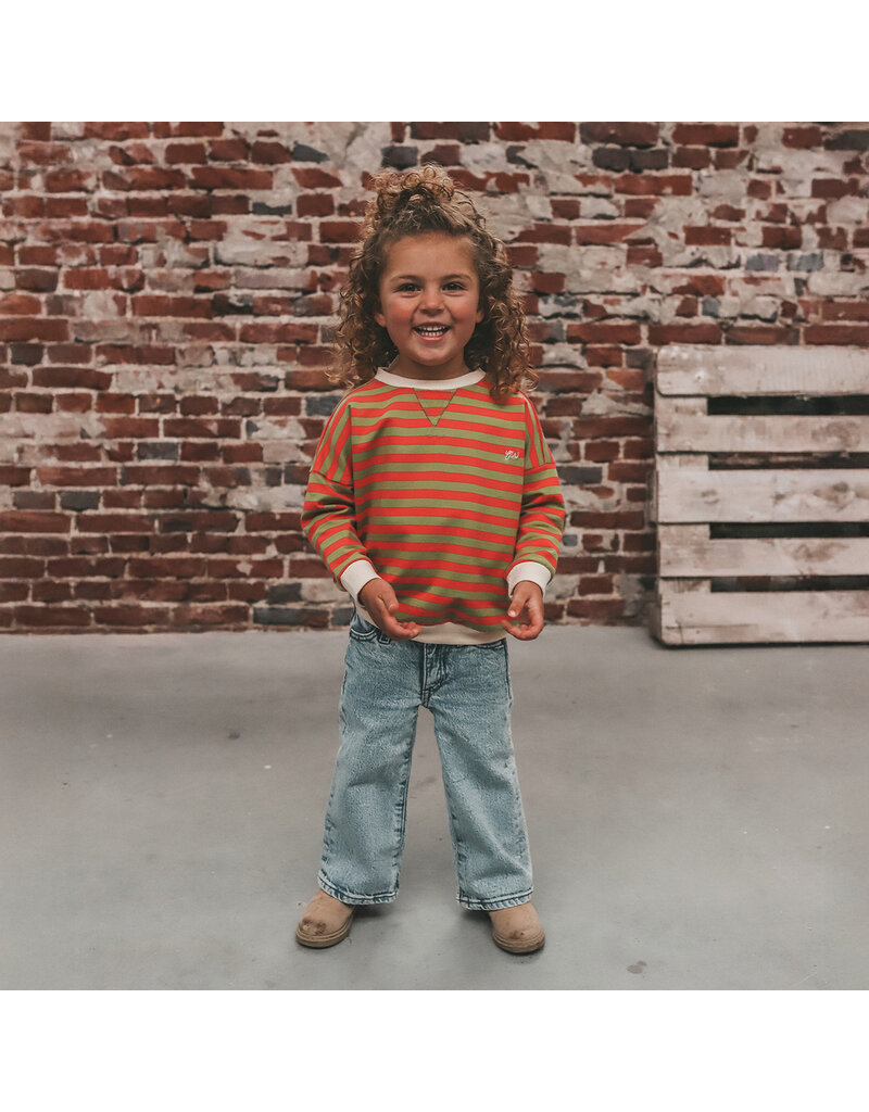 Your Wishes Baby & Peuter kleding Your Wishes Stripe French Knit - Sweater Kids - Mosstone - Roze & Groen