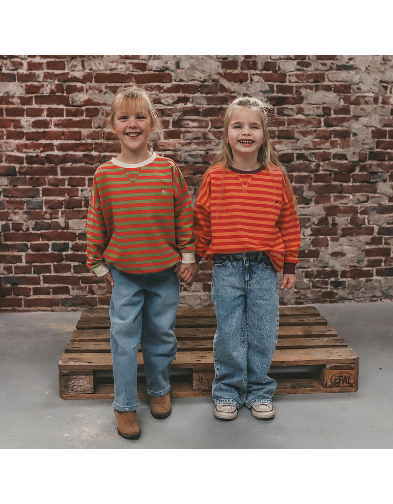 Your Wishes Baby & Peuter kleding Your Wishes Stripe French Knit - Sweater Kids - Mosstone - Roze & Groen