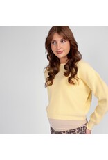 Love2Wait Love2Wait zwangerschapstrui - cropped - Soft Yellow - B999 Noor 2007