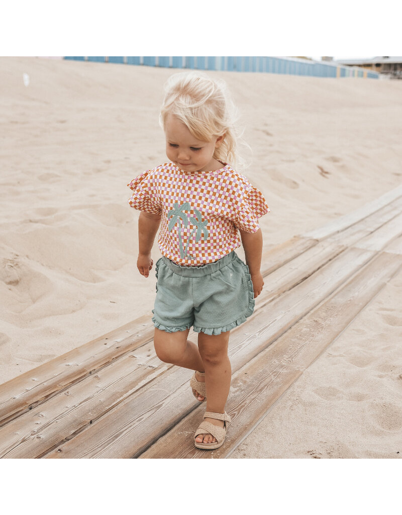 Your Wishes Baby & Peuter kleding Your Wishes meisje Ruffle Shirt - Mini Check