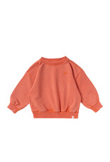 Your Wishes Baby & Peuter kleding Your Wishes Wide Sweater - Garment Dye - sienna