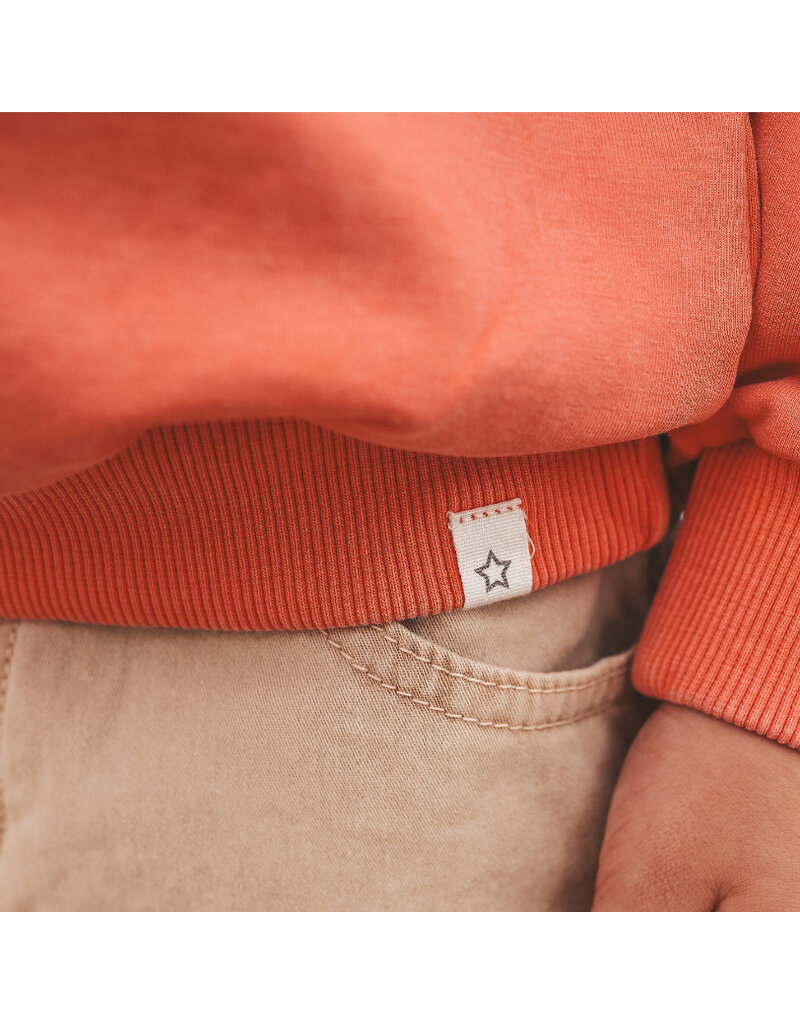 Your Wishes Baby & Peuter kleding Your Wishes Wide Sweater - Garment Dye - sienna