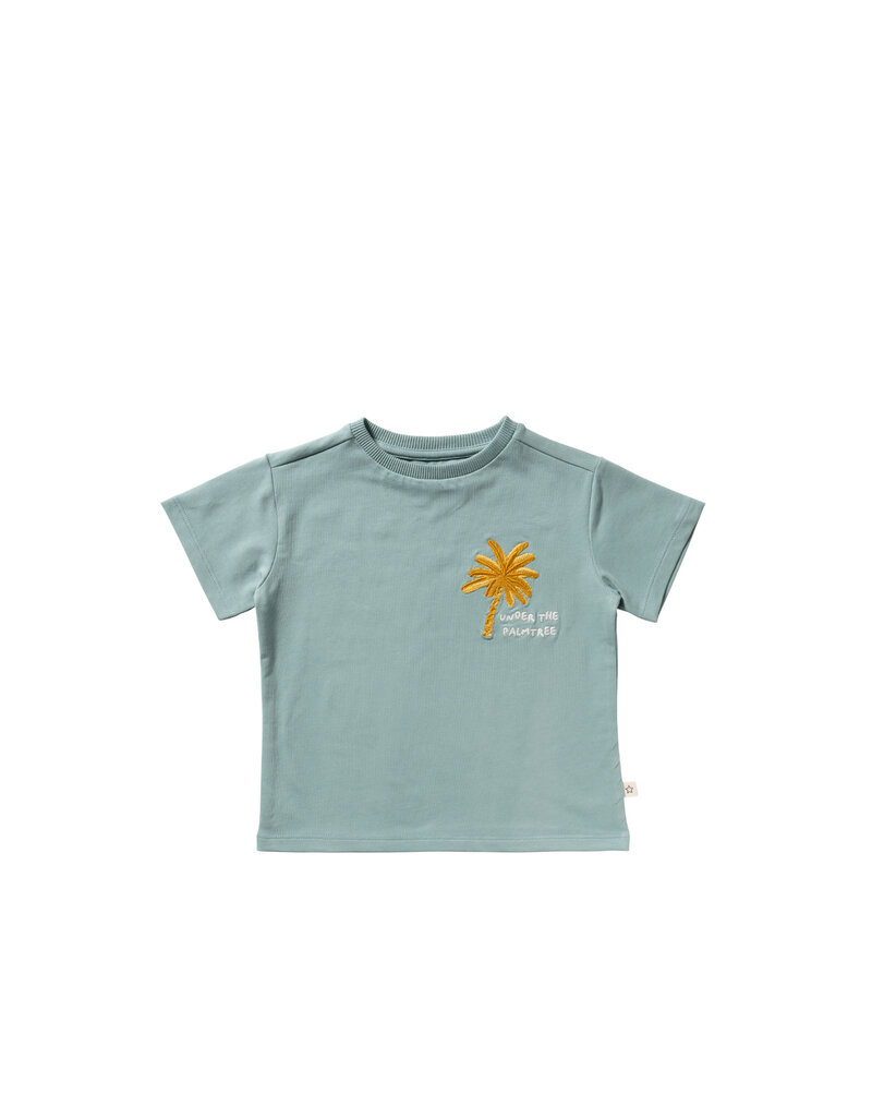 Your Wishes Baby & Peuter kleding Your Wishes T-shirt Oversized - Palmtrees - ocean groen