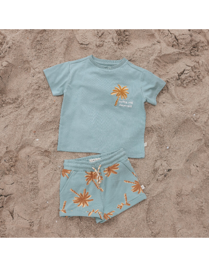 Your Wishes Baby & Peuter kleding Your Wishes T-shirt Oversized - Palmtrees - ocean groen