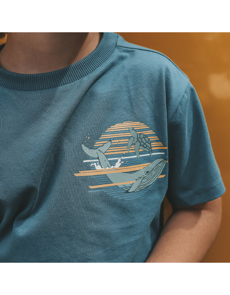 Your Wishes Baby & Peuter kleding Your Wishes jongen T-shirt relaxed - Whale - Dragonflye