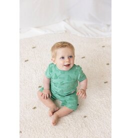 Feetje Baby Feetje jongen T-shirt AOP - Seaside Happiness - groen