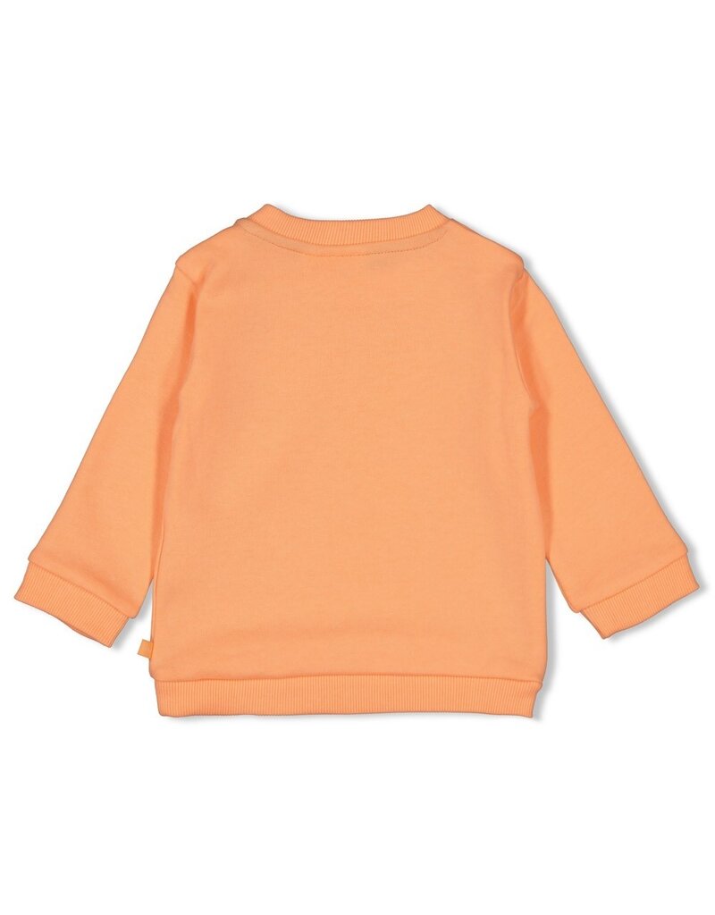Feetje Baby Feetje Sweater - Lagoon Legends - Neon Oranje - 51602766