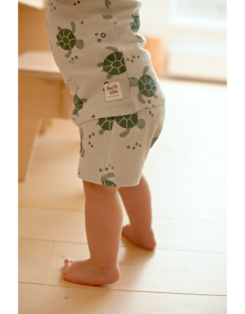Feetje Baby Feetje Shortama - Timmy Turtle - pyjama Premium Summerwear
