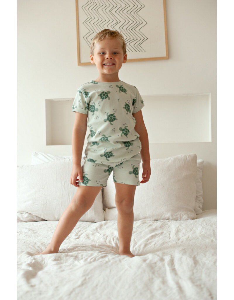 Feetje Baby Feetje Shortama - Timmy Turtle - pyjama Premium Summerwear