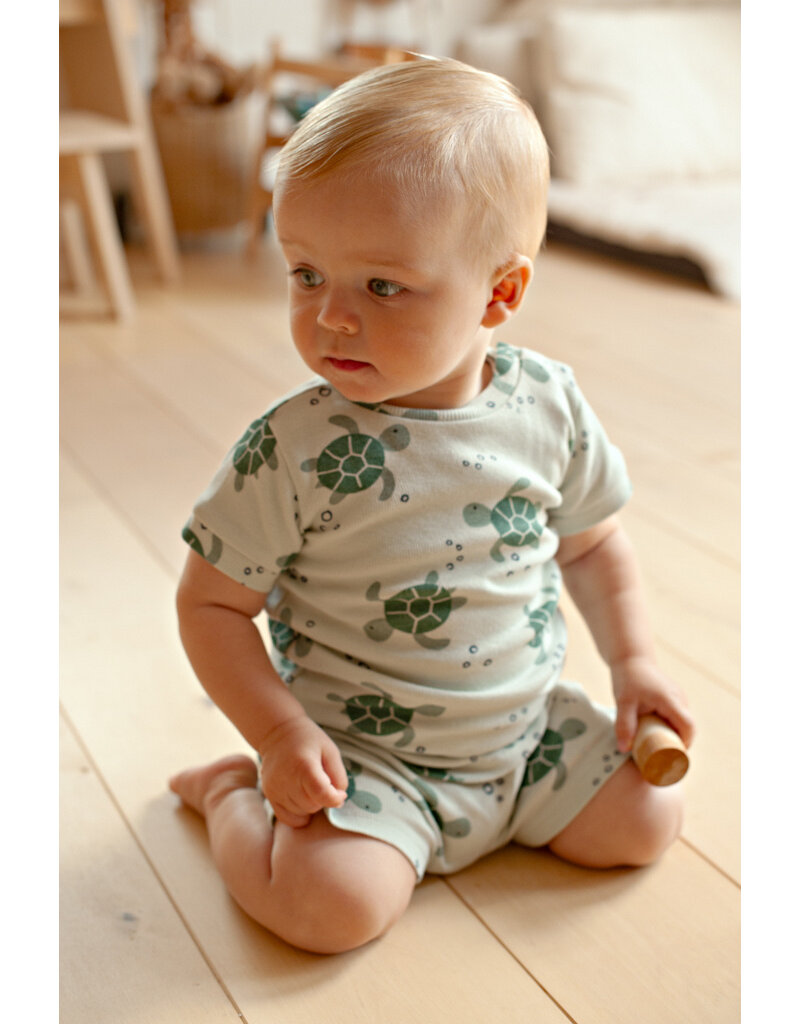 Feetje Baby Feetje Shortama - Timmy Turtle - pyjama Premium Summerwear