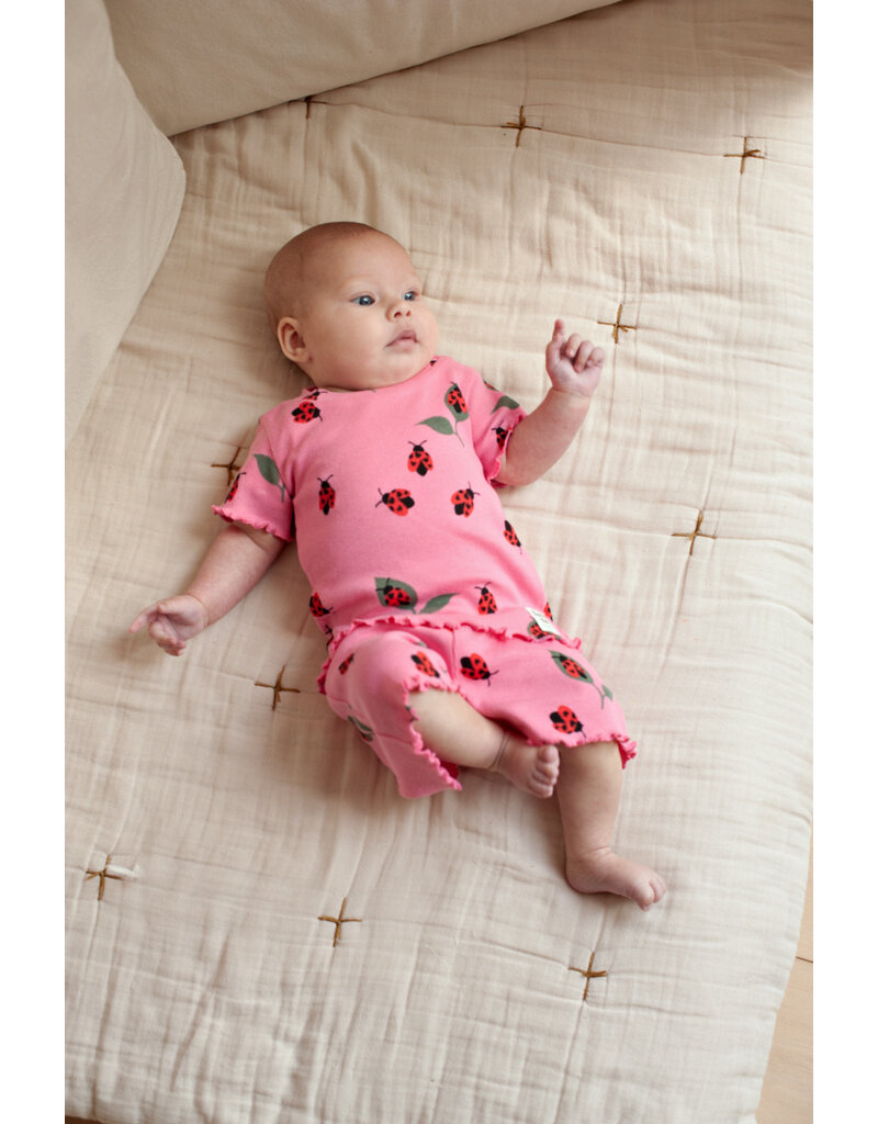 Feetje Baby Feetje Shortama - Lily Ladybug - pyjama Premium Summerwear