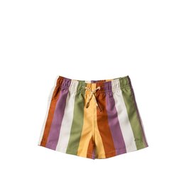 Salted Stories Salted Stories | Zwembroek | Multi Stripe | short