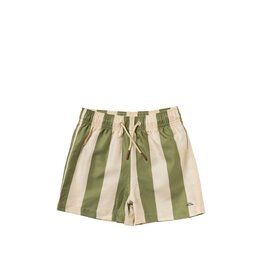 Salted Stories Salted Stories | Zwembroek | Wide Stripe | short groen